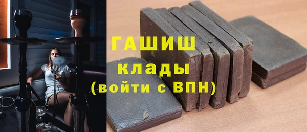 стаф Алзамай