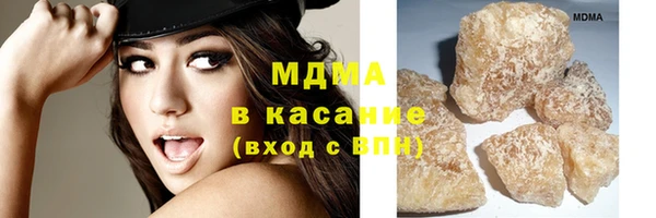 стаф Алзамай