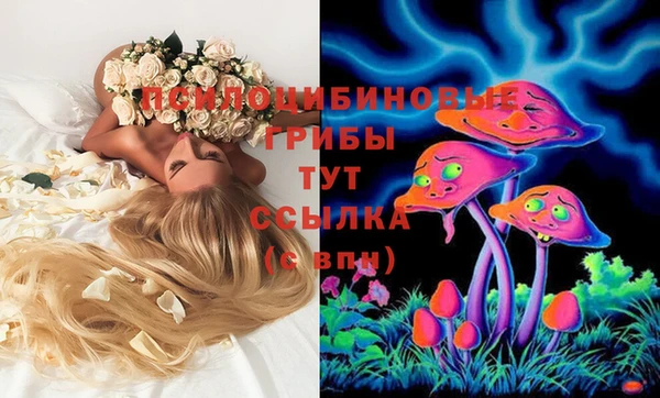 не бодяженный Алексин