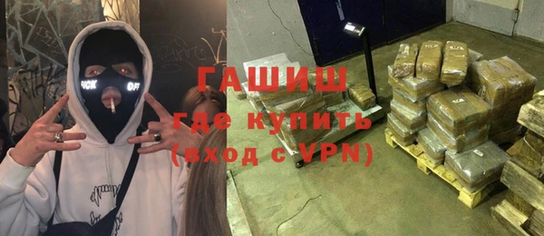 стаф Алзамай