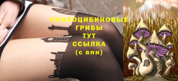 стаф Алзамай