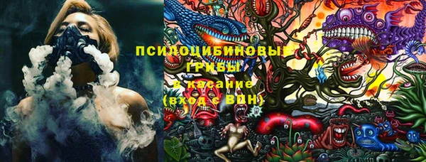 стаф Алзамай