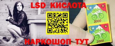 крисы Абакан