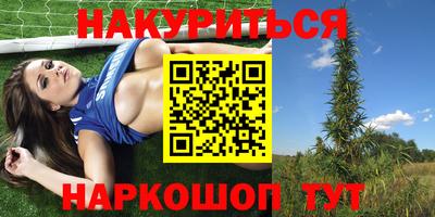 крисы Абакан