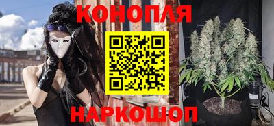 крисы Абакан