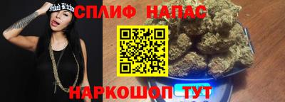 крисы Абакан