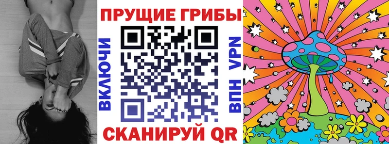 Псилоцибиновые грибы Psilocybine cubensis  Анжеро-Судженск 